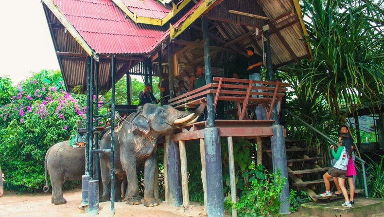 17. Деревня слонов, Патайя.jpg